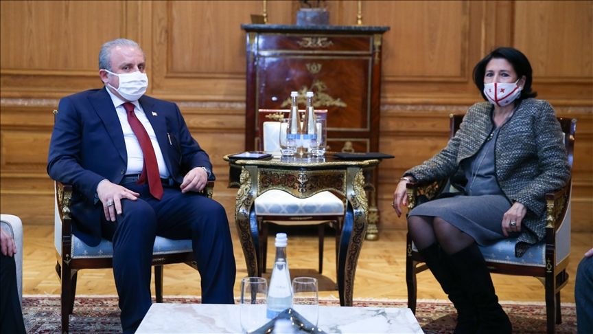 Президент Грузии приняла спикера парламента Турции