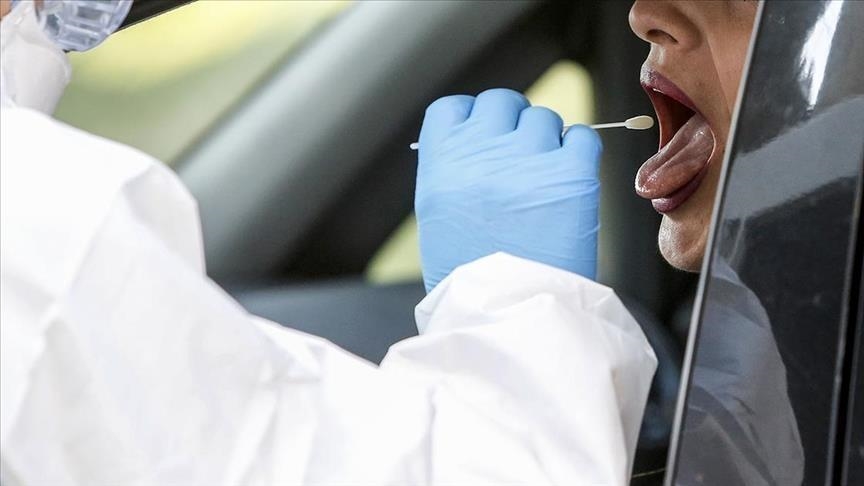 New Zealand confirms record 12,000 new COVID-19 cases