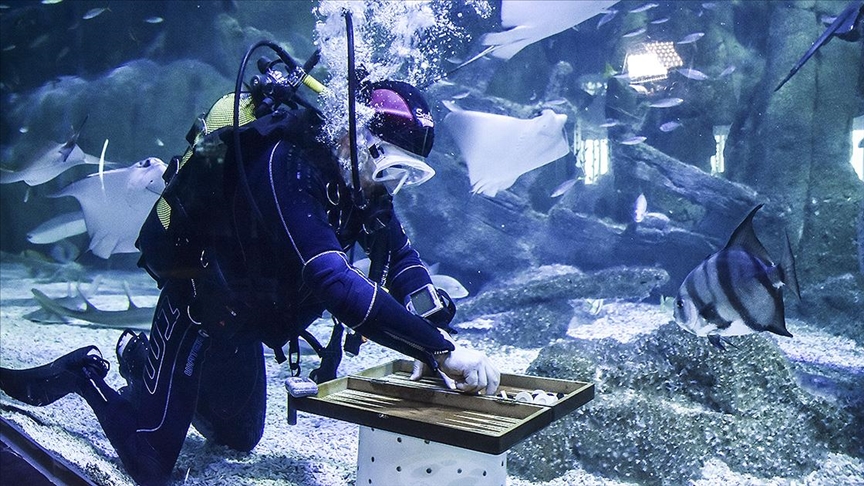 'Akvaryum Adam' rekor için köpek balıklarının arasında çalıştı