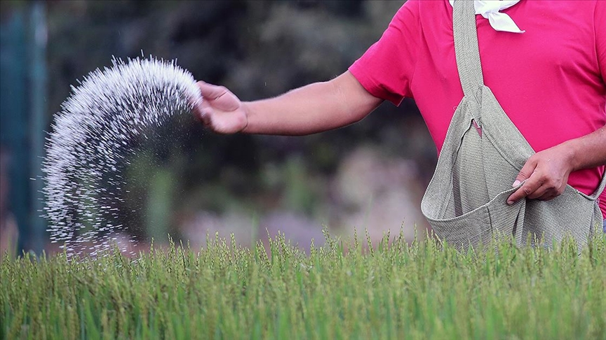 Rusya&amp;#39;da gübre üreticilerine ihracatı durdurmaları tavsiyesi