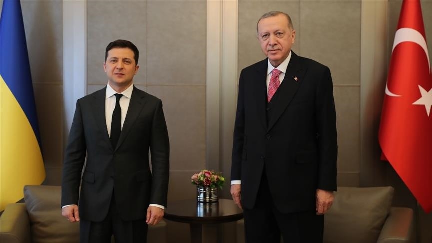 أردوغان وزيلينسكي يبحثان التطورات في أوكرانيا