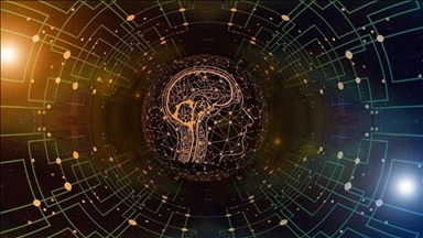 В Турции обсудят развитие интеллектуальных транспортных систем