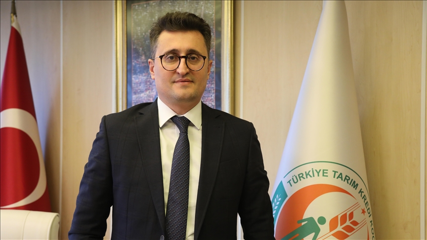 Tarım Kredi Kooperatifleri Samsun Birliğinden yağlık ayçiçeği, çeltik ve dane mısıra alım garantisi