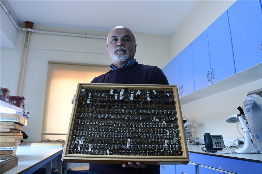 'Böcek sevdalısı' profesör, 4 bin türlük koleksiyonunu müzede sergilemek istiyor
