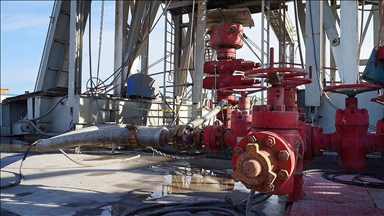 Turkiye offers best option for East Med gas transit to Europe: former ambassador