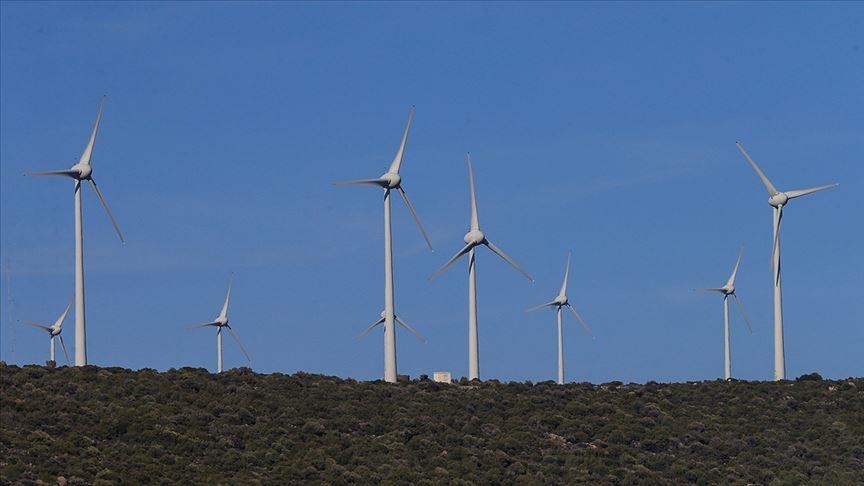 Japan to speed up start of new wind power plants as Ukraine war threatens energy security