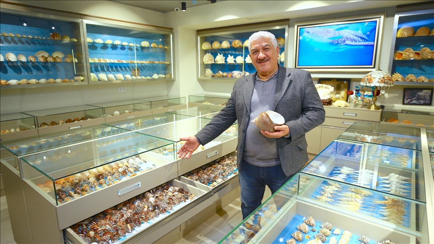 Азербайджанский коллекционер создал в Баку мини-музей ракушек