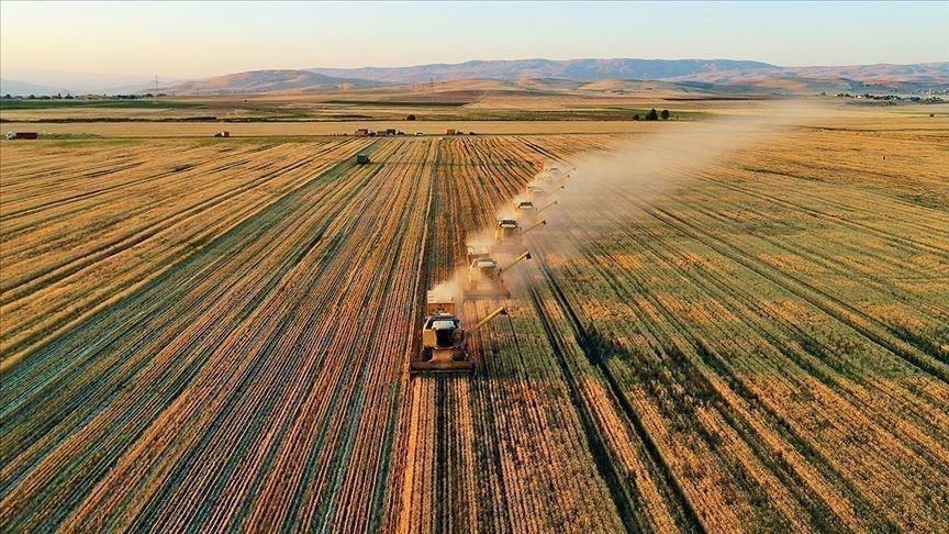 Turkiye to benefit most from EU agricultural support for candidate countries