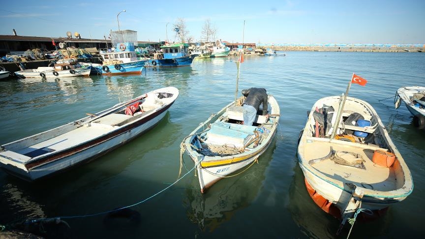 Турция приостановила все виды рыболовства в водах Черного моря