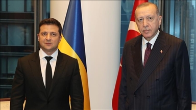 Эрдоган и Зеленский обсудили итоги саммита НАТО