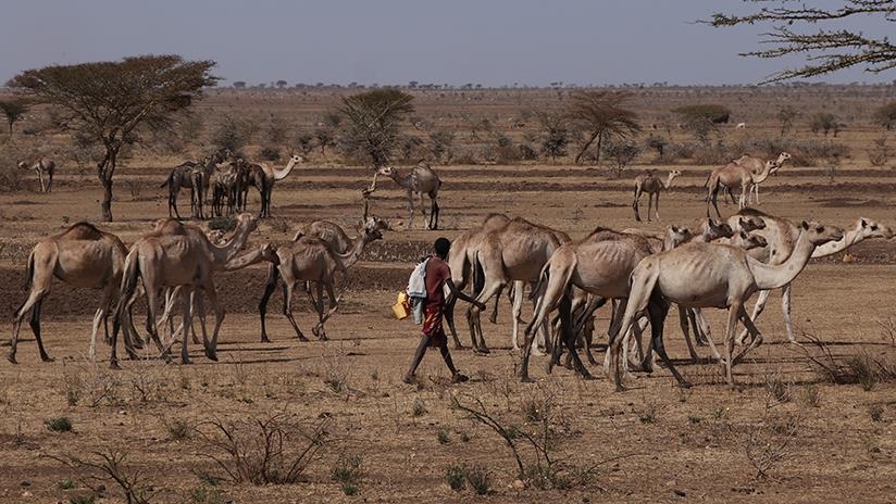 La ONU advierte de hambruna en Somalia debido a la sequía 