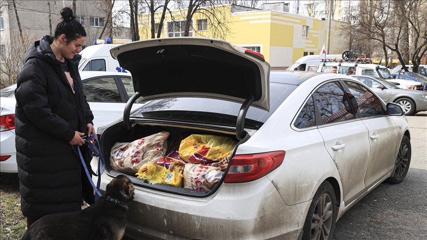 Лишившаяся дома жительница Ирпеня помогает бездомным животным в Киеве