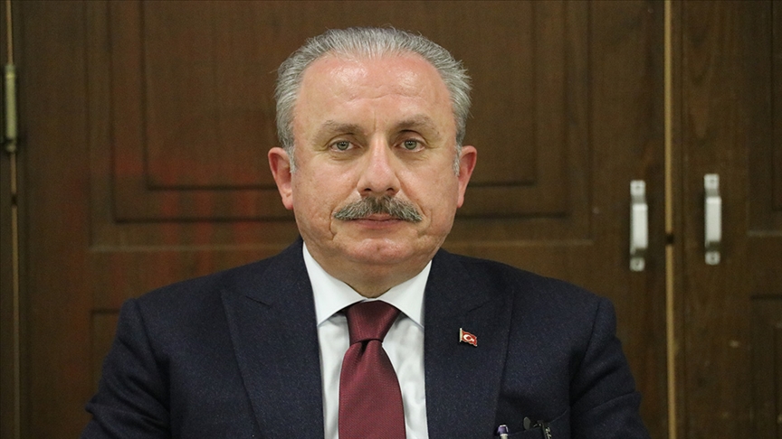 TBMM Başkanı Şentop: Avrupa'nın geleceği ancak Türkiye ile beraber mümkün olabilir