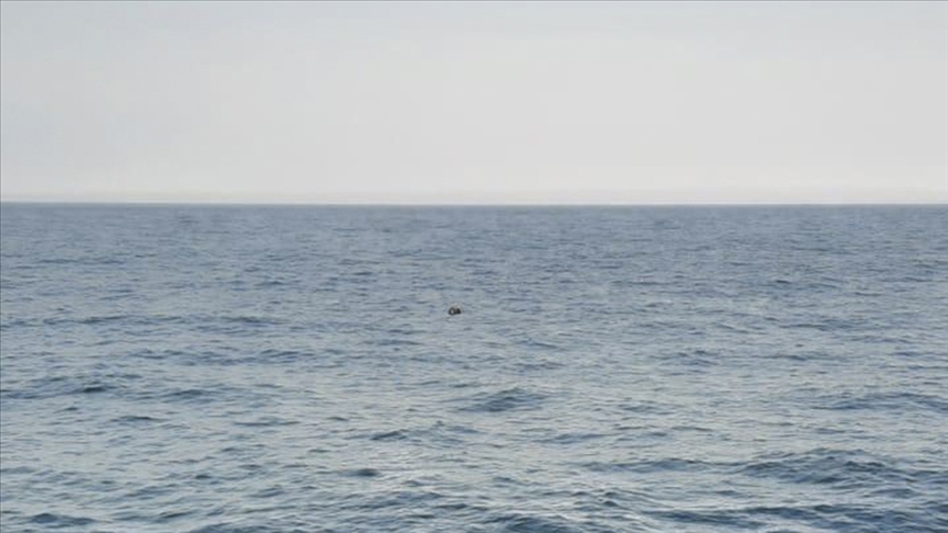 Ukrayna, Karadeniz'de görülen deniz mayınlarından Rusya'yı sorumlu tuttu