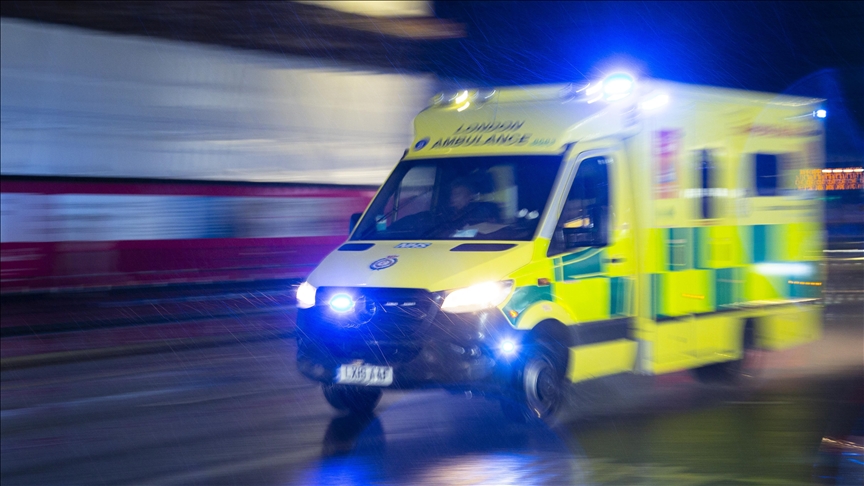 British toddler bitten by dog dies in hospital, say police