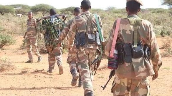 Somali military claims killing 7 al-Shabaab terrorists