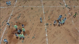 Libya exhumes 11 bodies from mass grave in Sirte