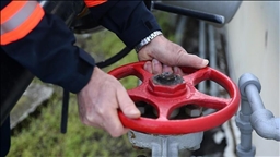 Replacing Russian gas in Europe challenging in short term: Fitch