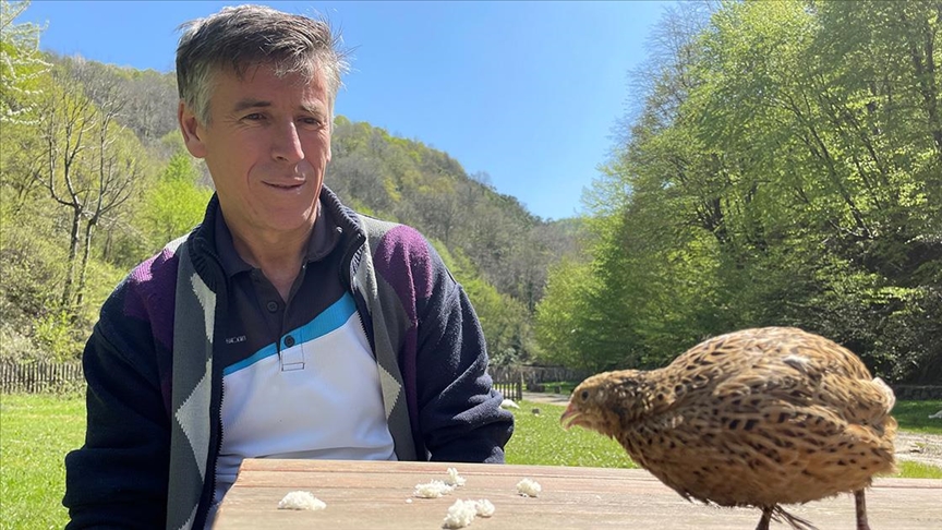 Bıldırcın 'Edi'nin sahibi ile dostluğu görenleri şaşırtıyor