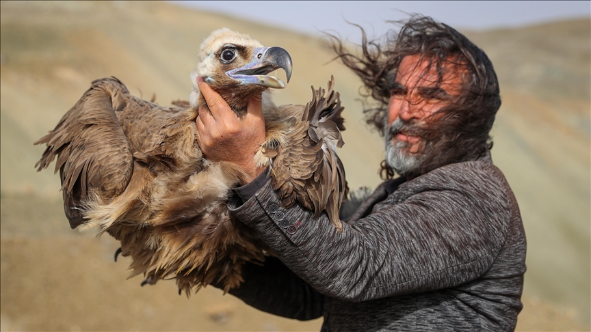 وان.. باڵندە بریندارەکان لە پاش چارەسەر بە سروشت ئاشنا کرانەوە
