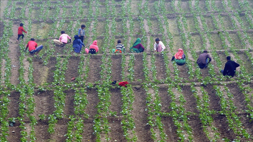 Muslim innovator’s magic hands help India’s troubled farmers