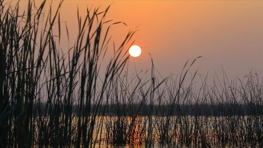 Amnesty International pushing Argentina to protect biodiverse wetlands