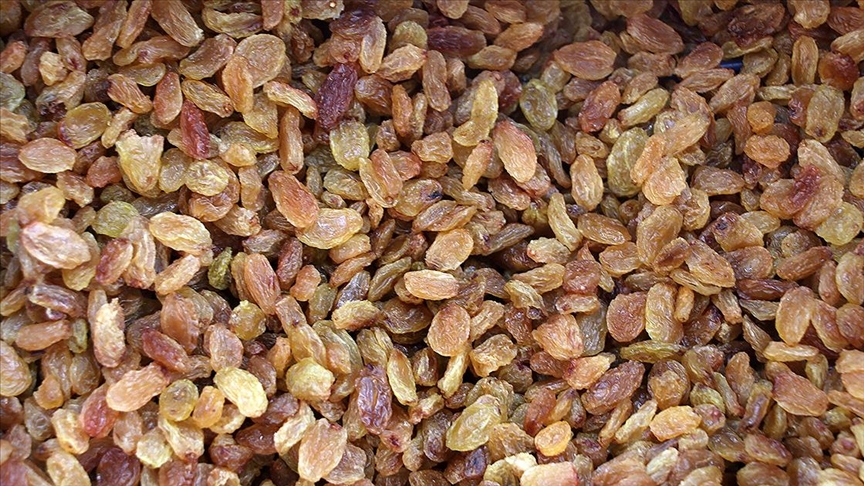 Avrupa'nın Türk kuru üzümü talebi sürüyor