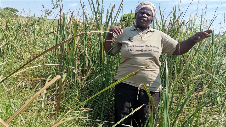 Swazi rural villagers save threatened wetland