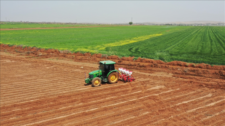 Şanlıurfa'da pamuk tohumları toprakla buluşmaya başladı
