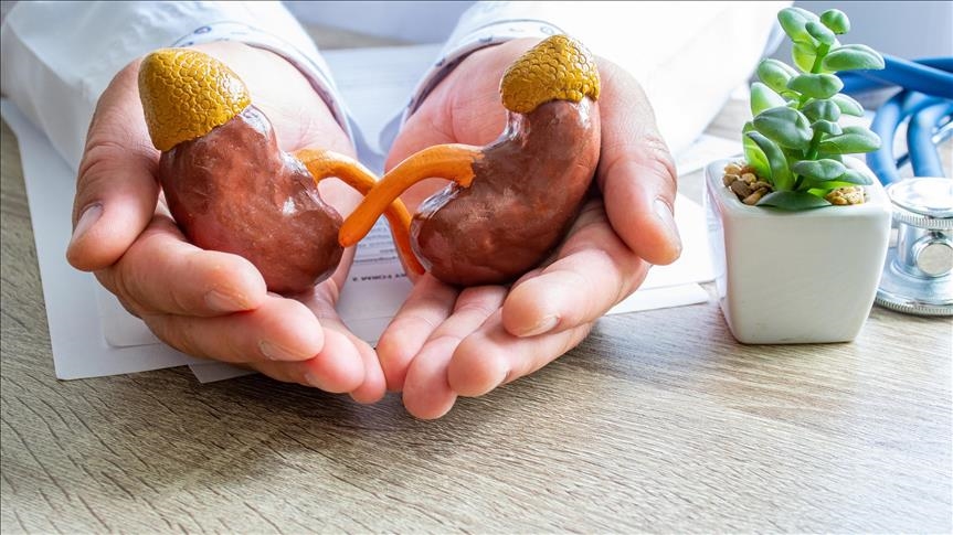 Türk Böbrek Vakfından 'bayramda tercihinizi sağlıklı besinlerden yana kullanın' önerisi  