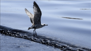 Libya’s NOC warns of ‘environmental disaster’ amid oil blockade