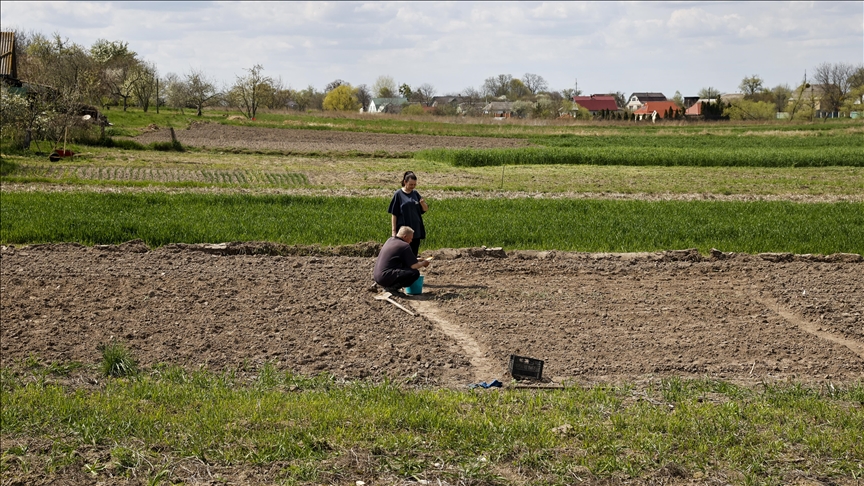 Ukrayna'nın Lipivka köyünde Rus saldırılarının ardından mahsul ekimine başlandı