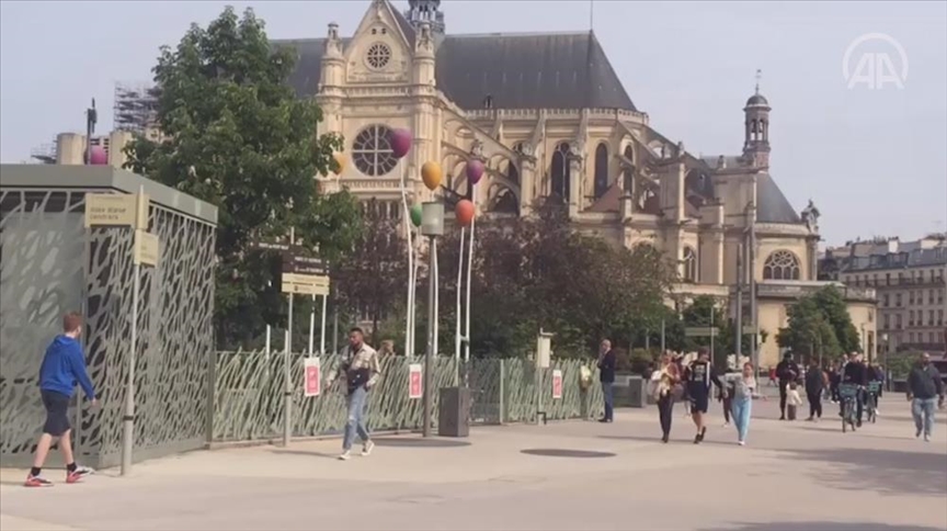 Vermin, rodents, pests: Les rats de Paris