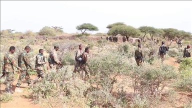 Somalie : des éléments du Mouvement al-Chabab attaquent un convoi des forces éthiopiennes  