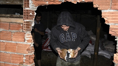 Sinop'ta su basan ahırdaki hayvanlar duvar kırılarak kurtarıldı