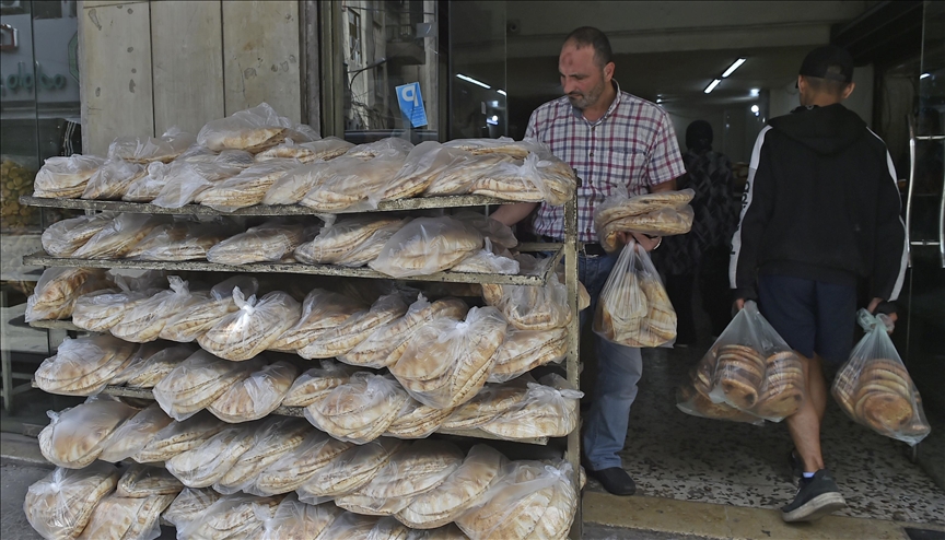 أزمة أوكرانيا.. توجه لبناني نحو زراعة القمح والقنب (مقابلة)