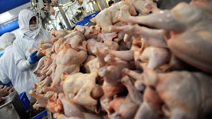 Tavuk eti üretimi martta yıllık bazda yüzde 3 arttı