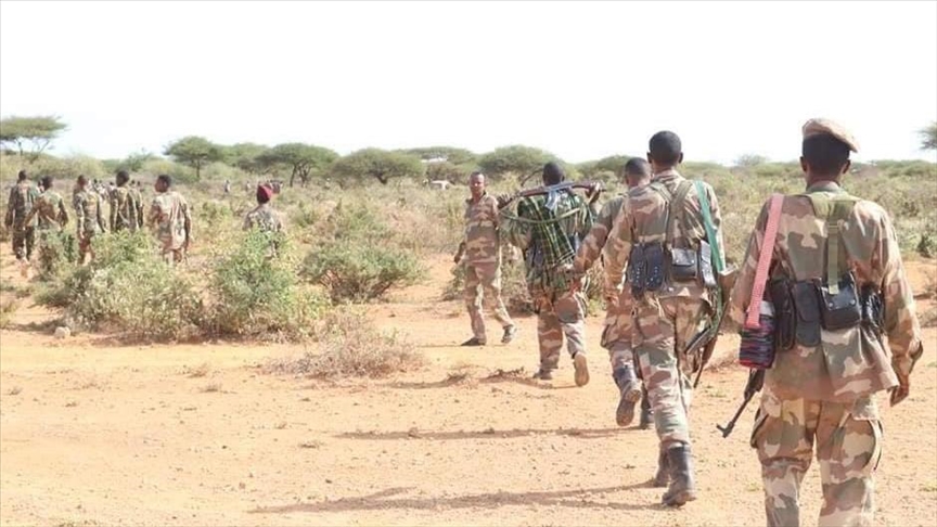 Somali military kills at least 11 al-Shabaab terrorists