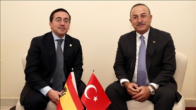 Главы МИД Турции и Испании обсудили подготовку к саммиту НАТО и Украину