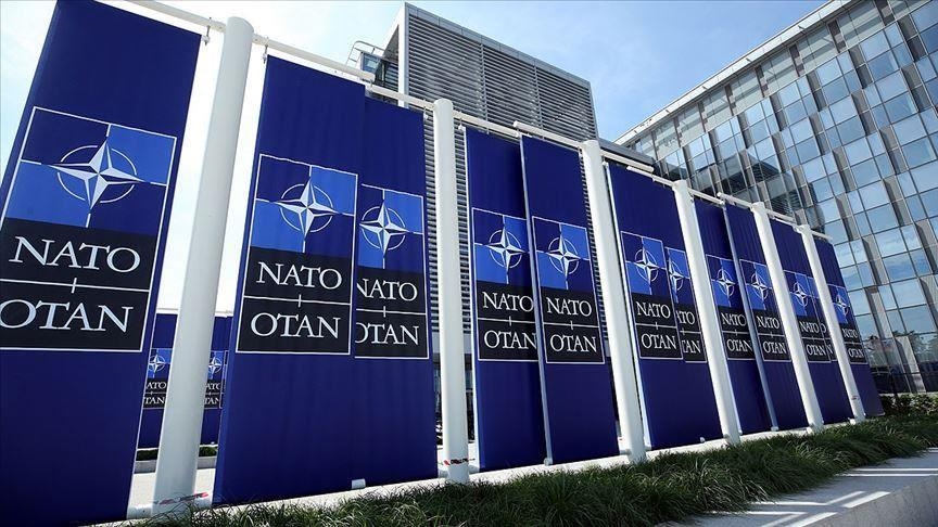 OTAN : La Suède et la Finlande considèrent l'adhésion sur fond de guerre en Ukraine