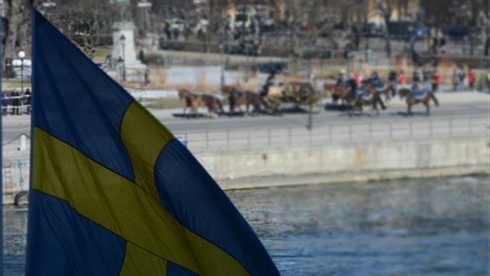 Sweden's annual inflation hits 31-year high