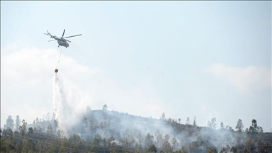 Turqia dhe Azerbajxhani do të bashkëpunojnë kundër zjarreve pyjore