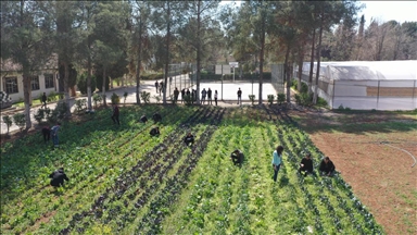 Şanlıurfa'da öğrenciler modern tarımı uygulamalı öğreniyor