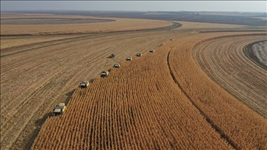 Çiftçi sayısında Ordu, tarım arazisinde Konya zirvede