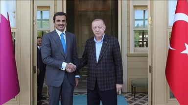Turkish president meets Qatar's emir in Istanbul
