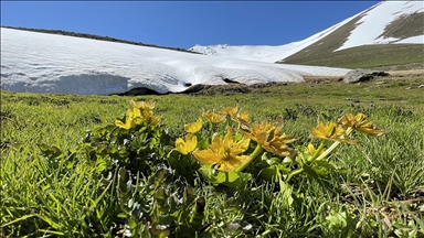 Erzurum dağlarında kar, ovasında bahar renkleri hakim