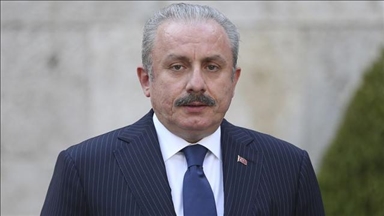 رئیس مجلس ترکیه عازم آذربایجان شد