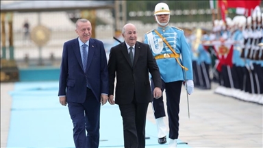 Лидеры Турции и Алжира проводят переговоры в Анкаре