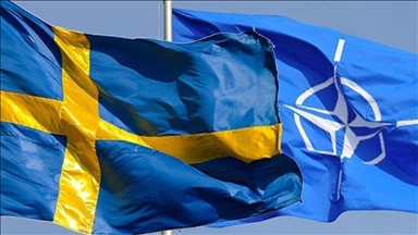 Делегация Швеции обсудит в Турции вступление страны в НАТО 