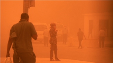 Из-за песчаных бурь в Ираке госпитализированы 2 тыс. человек